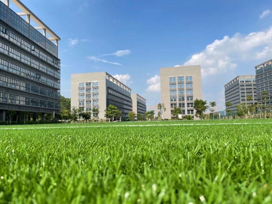 Rivestimento antipolvere per pavimenti sportivi Resilienza superiore Vernice per campi da calcio TDS